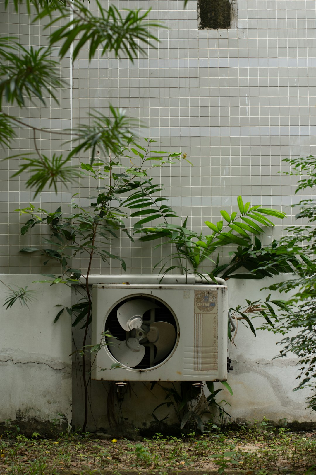 services-03 a-planter-outside-with-a-plant-growing-out-of-it-lw2rgpjg9ci